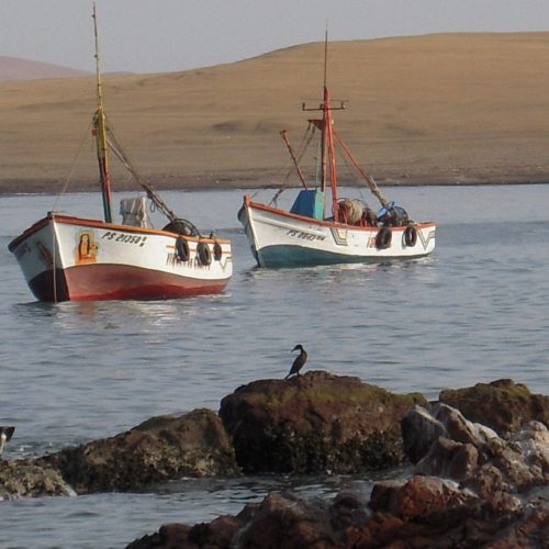 Lodzie rybackie w Las Lagunillas_Paracas